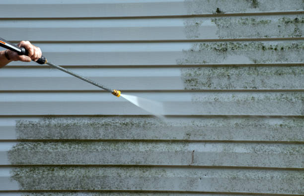 Best Certified Mold Removal  in Fairmont, IL